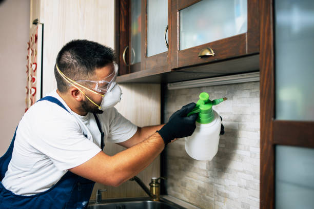 Best Rat Extermination Near Me  in Monticello, GA