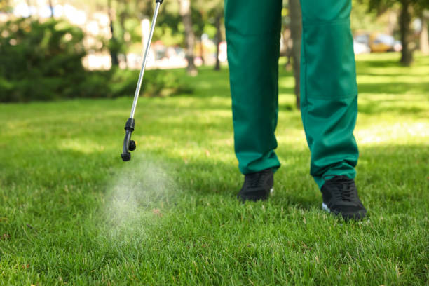 Best Pest Inspection Near Me  in Monticello, GA