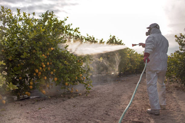 Best Pest Control for Businesses  in Monticello, GA