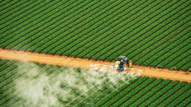 Best Pest Inspection Near Me  in Monticello, GA