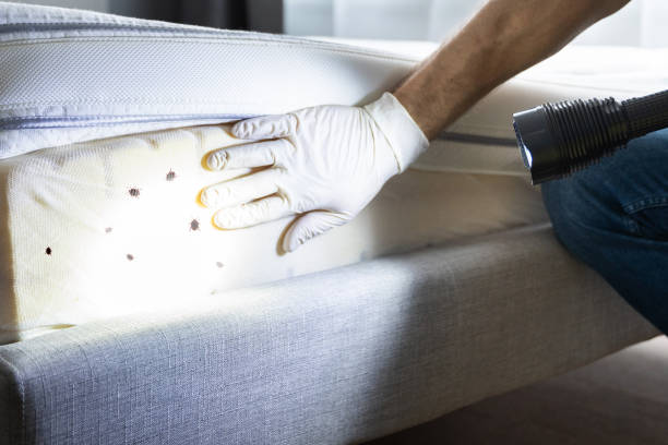 Best Termite Control Services  in Monticello, GA